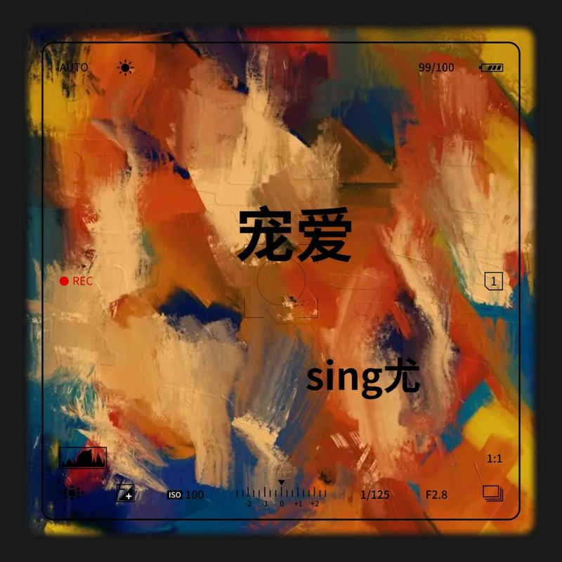 宠爱封面