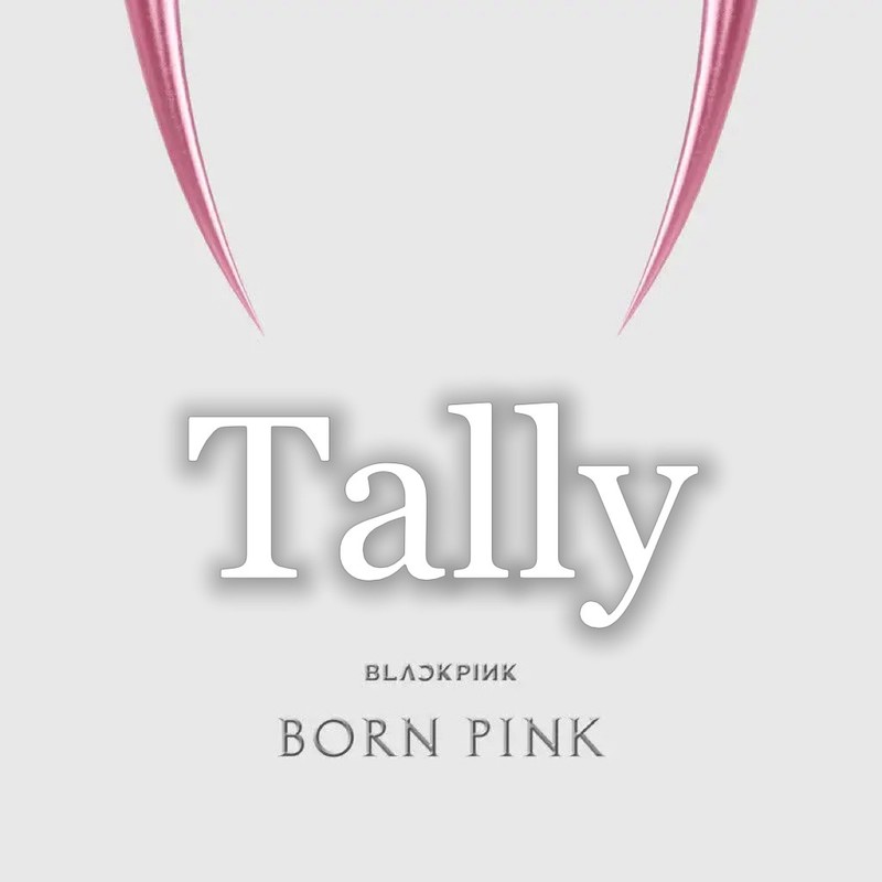 Tally封面
