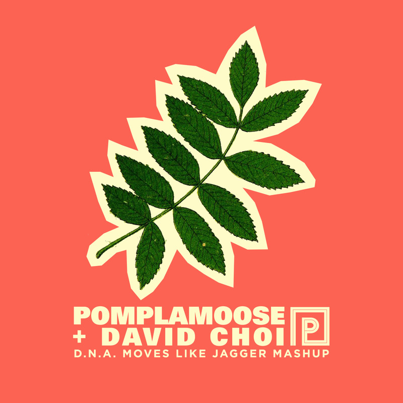 D.N.A.MovesLikeJaggerMashup封面