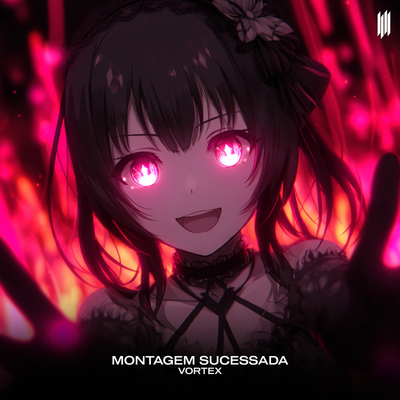 MONTAGEMSUCESSADA封面