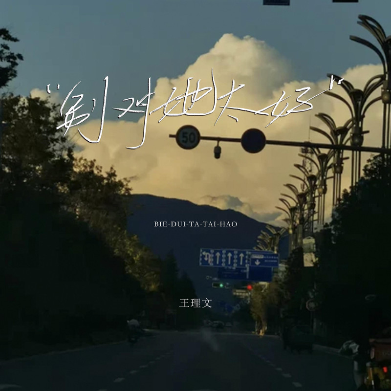 别对她太好封面