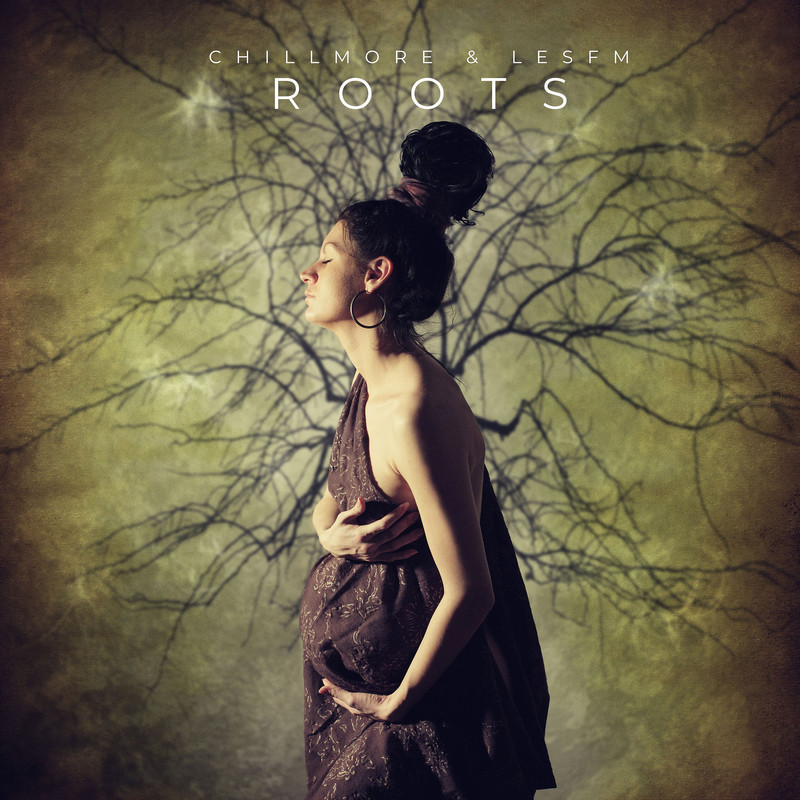 Roots封面