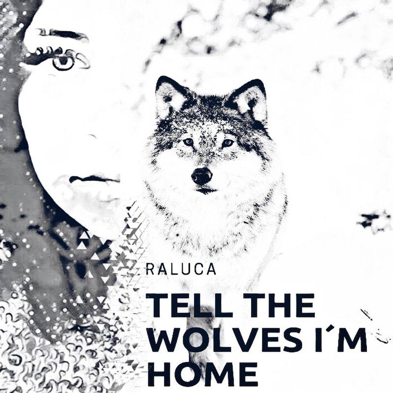 TelltheWolvesI'mHome封面