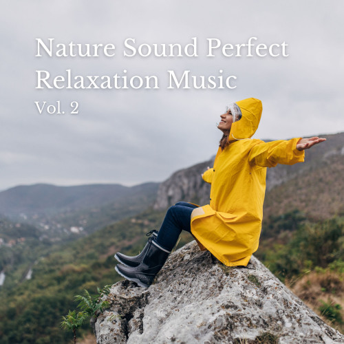 NatureSoundPerfectRelaxationMusicVol.2封面