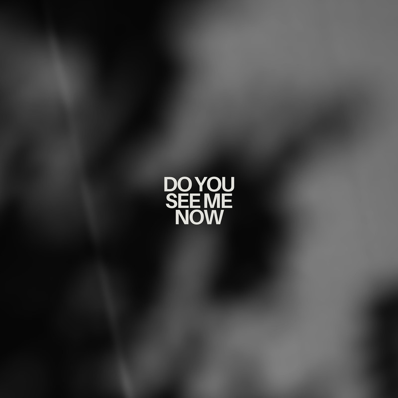 DoYouSeeMeNow封面