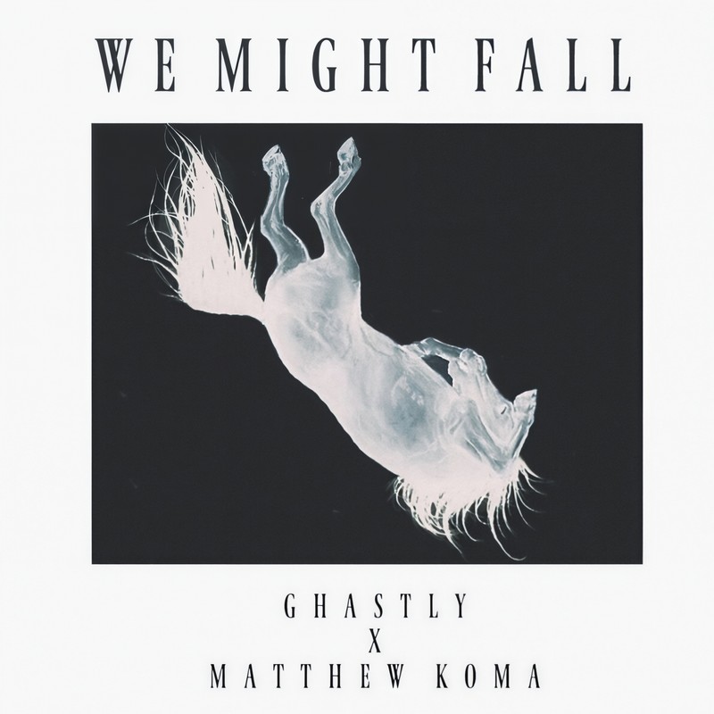 WeMightFall封面