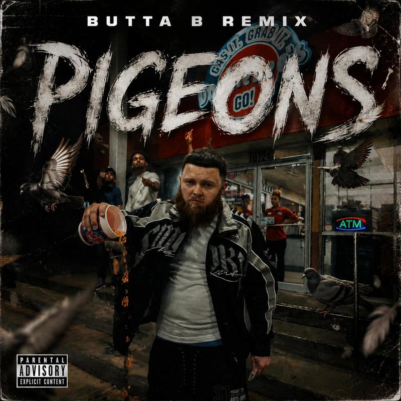 Pigeons封面