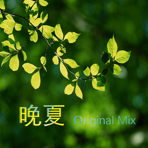 晚夏封面