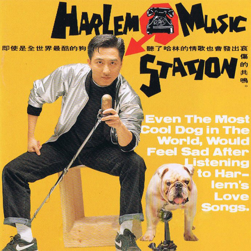 FallInLoveAgain封面