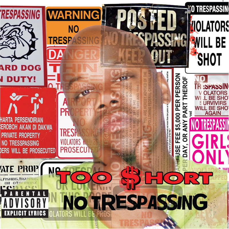 RespectthePimpin封面