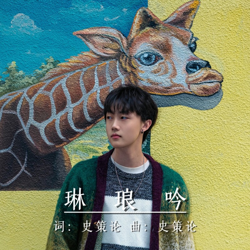 琳琅吟封面