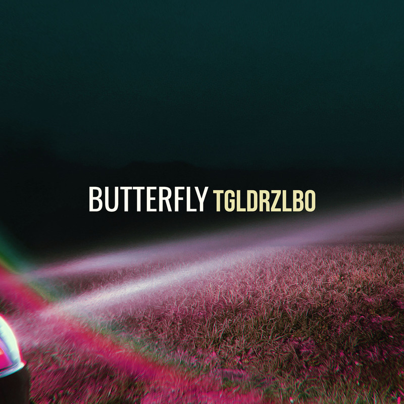 Butterfly封面