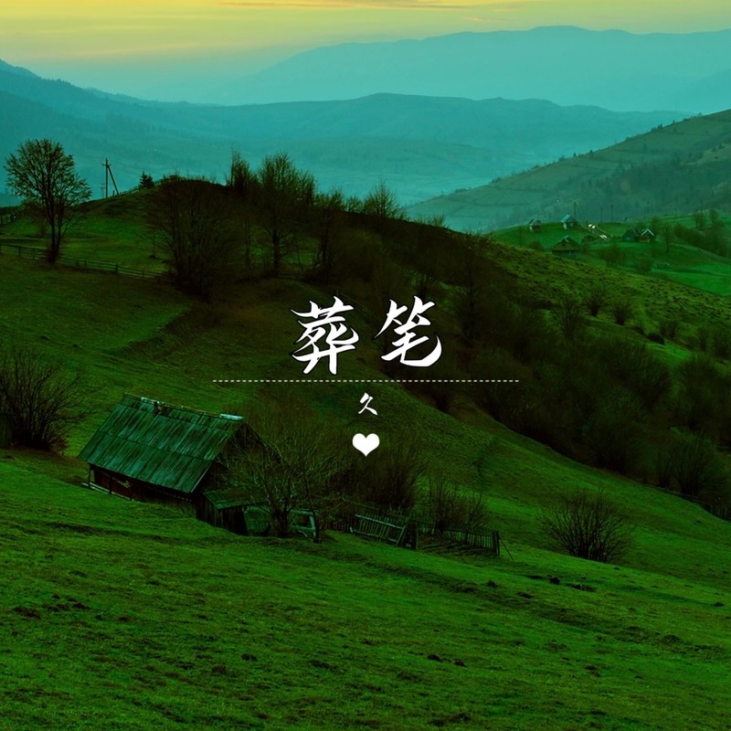 葬笔封面