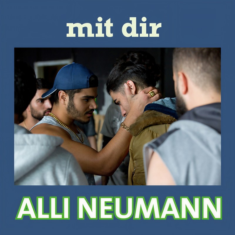 mitdir封面
