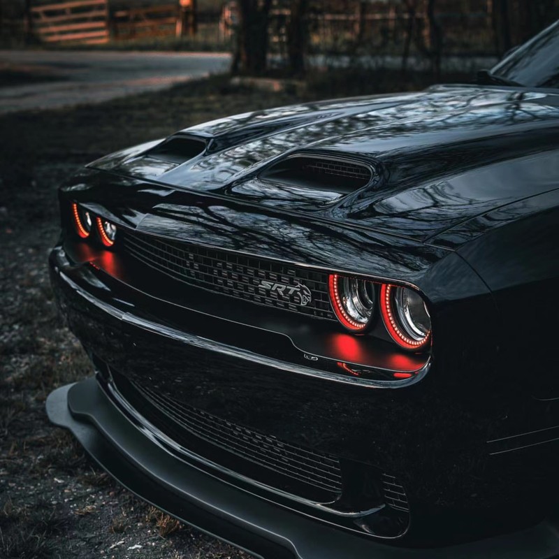 SRT封面