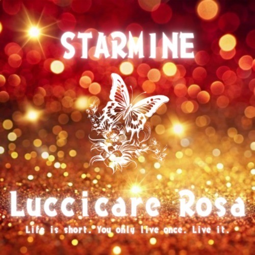 STARMINE封面