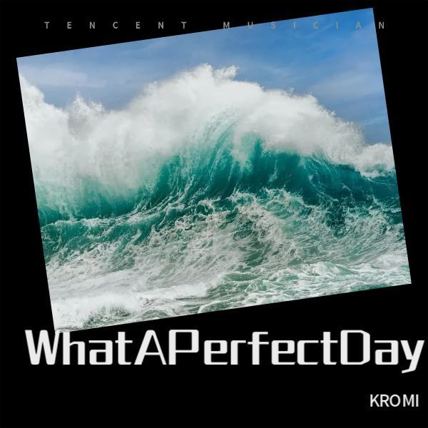 WhatAPerfectDay封面