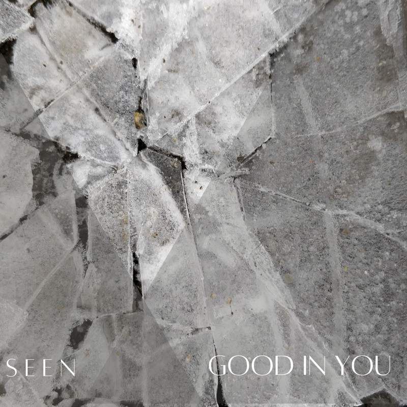 GoodinYou封面