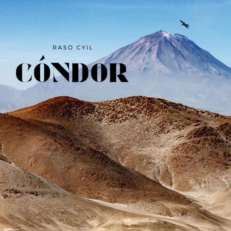 Cóndor封面