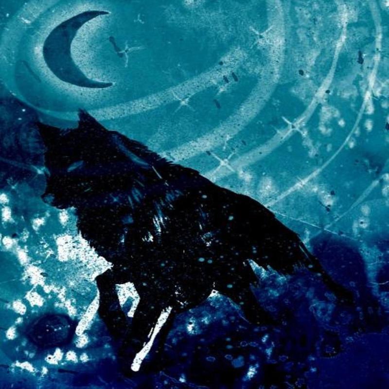 Howling(feat.CartoonAsena)封面