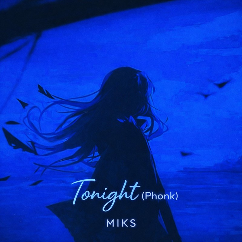 TonightPhonkSlowed封面