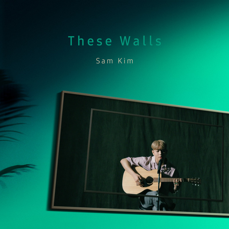 TheseWalls封面