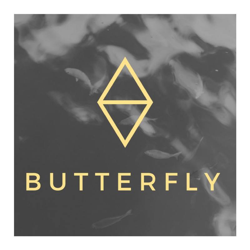 Butterfly封面