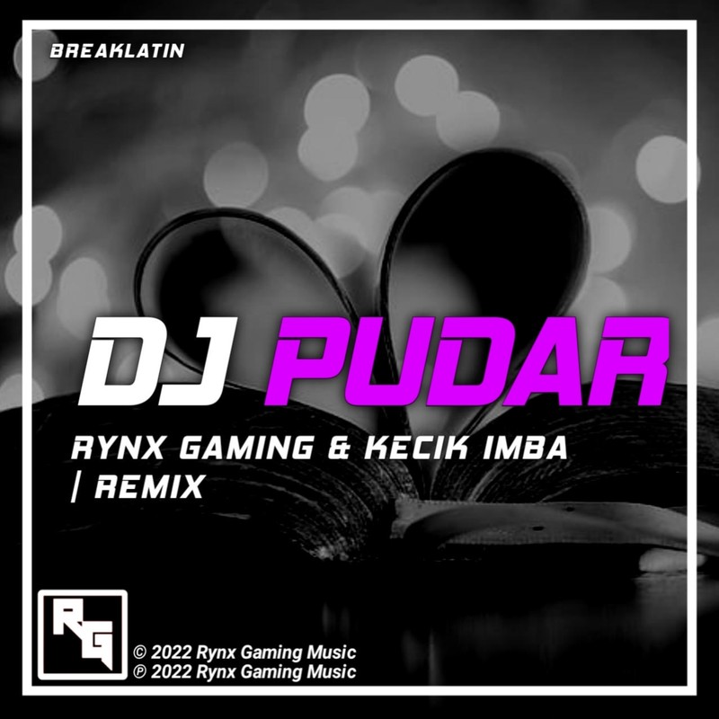 DJPudar封面