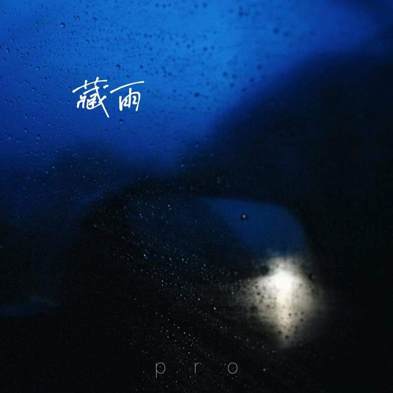 藏雨封面