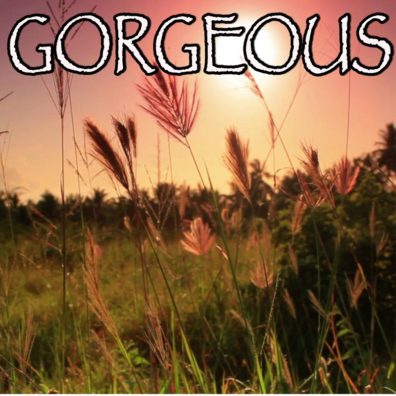 Gorgeous封面