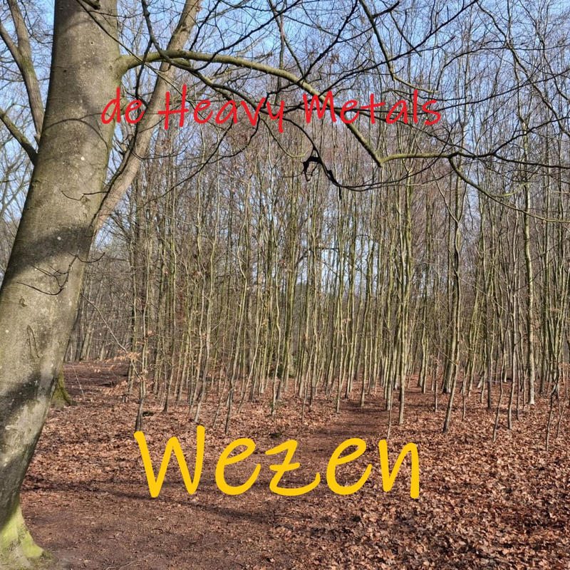 Wezen封面