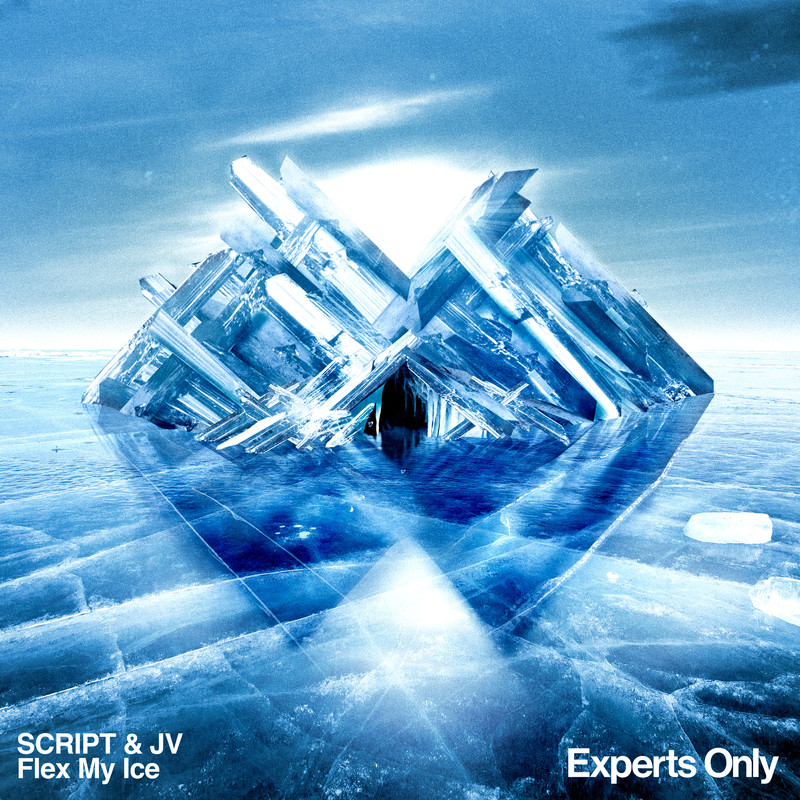 FlexMyIce封面