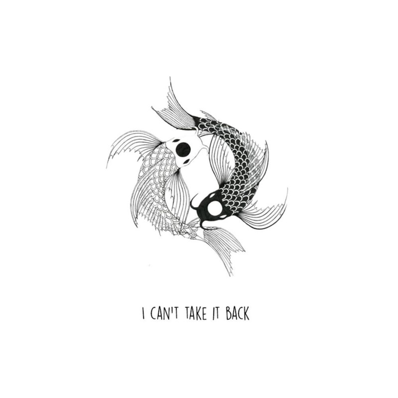 ican'ttakeitback封面