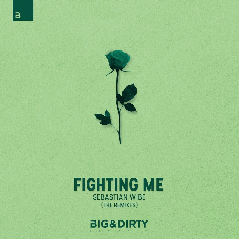 FightingMe封面