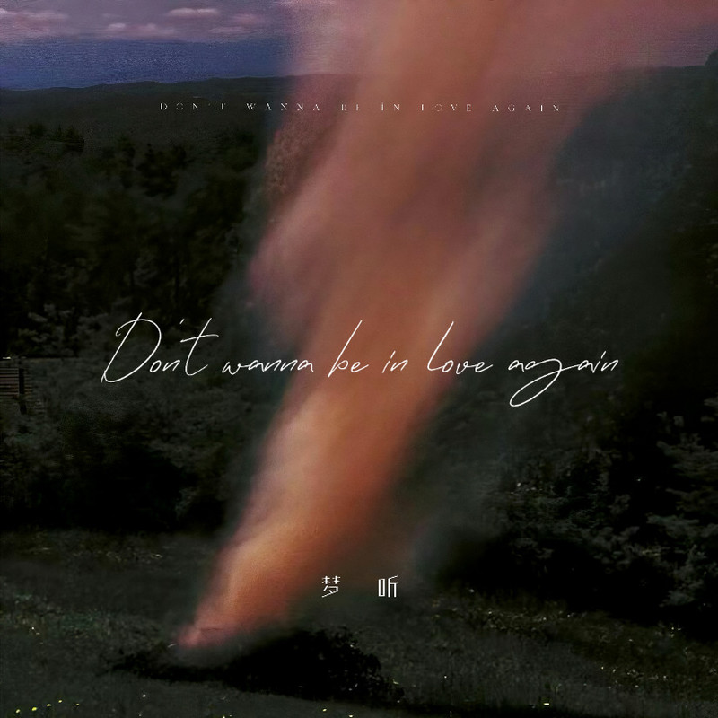 Don'tWannaFallInLoveAgain封面