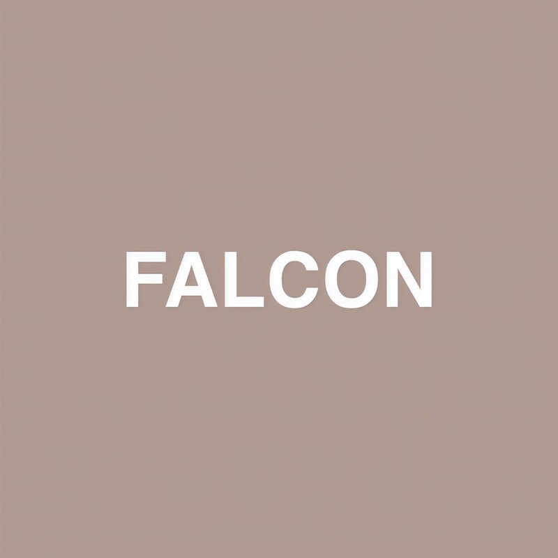 Falcon封面