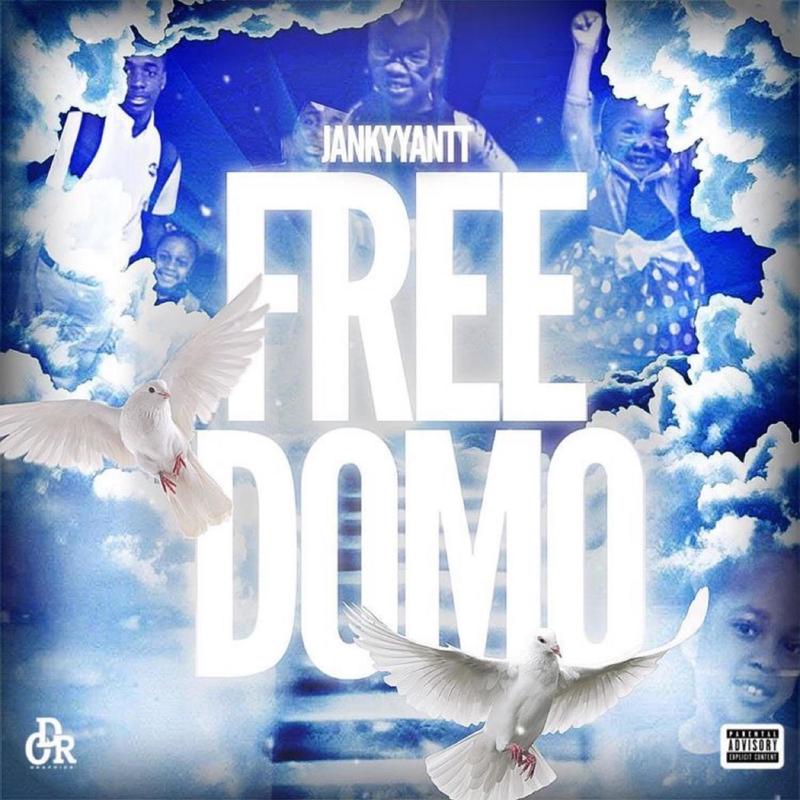 FreeDomo封面