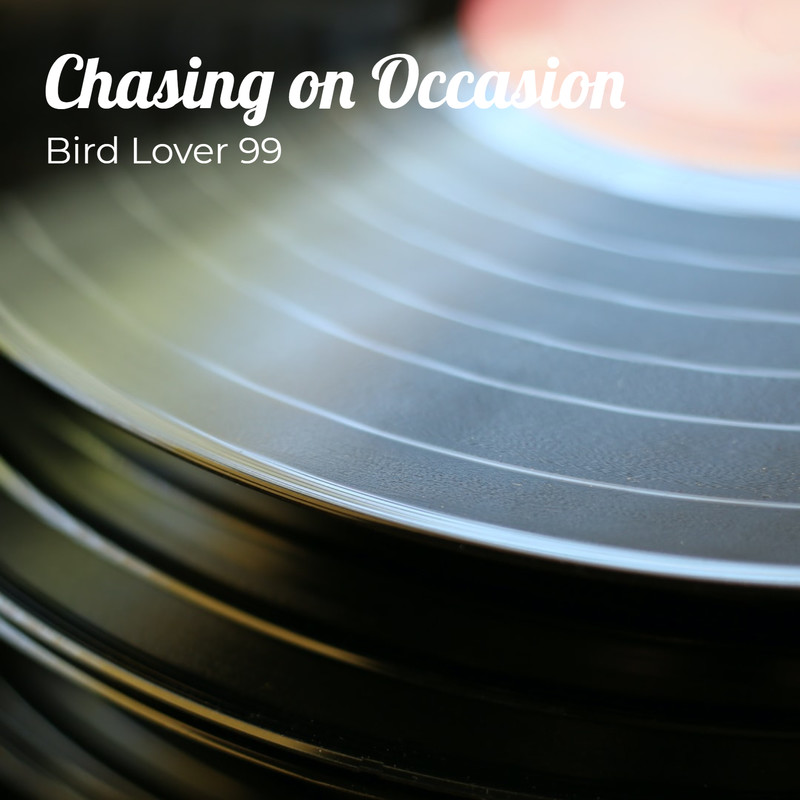 ChasingOnOccasion封面