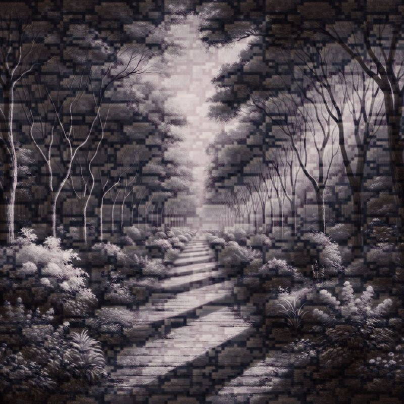 EchoesoftheForgottenMeadow封面