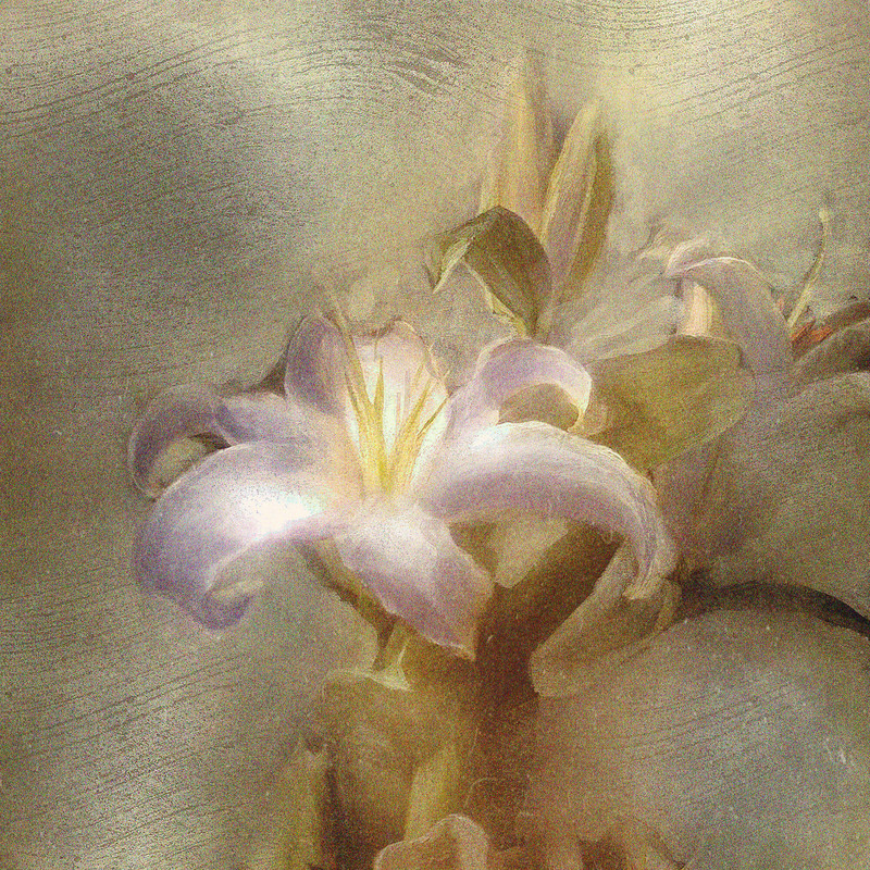 flower封面