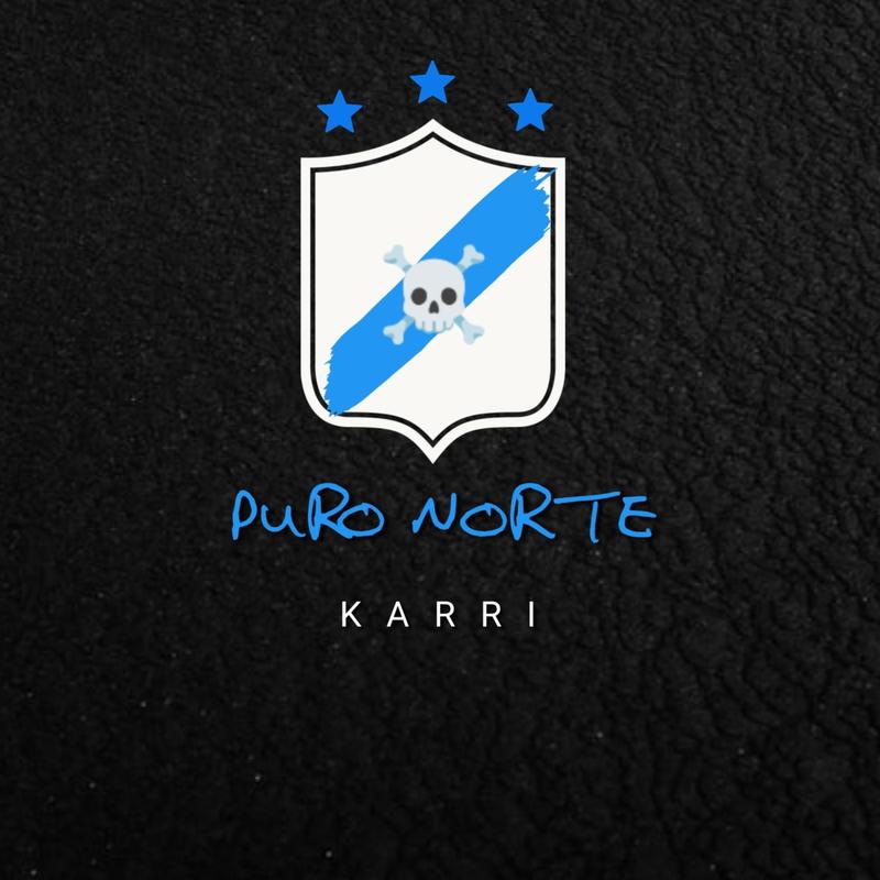 PuroNorte封面