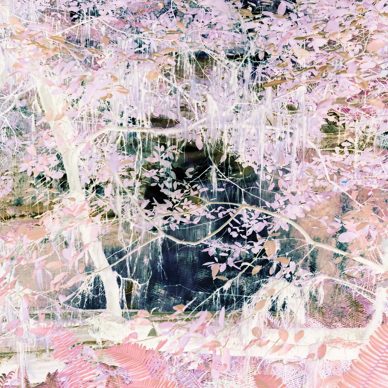 Pathwayz封面