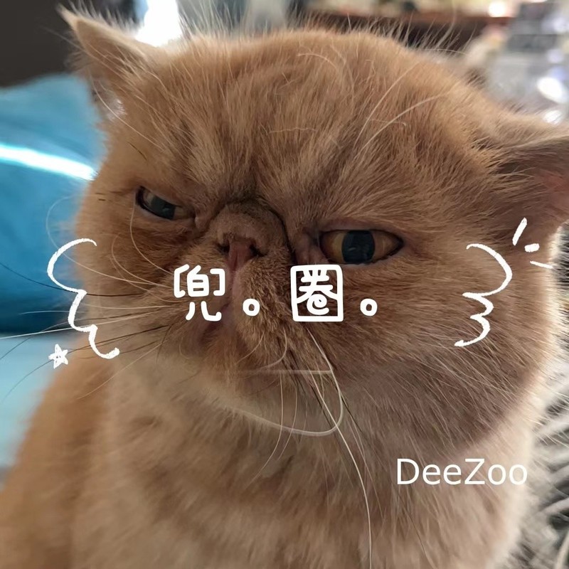 兜圈封面