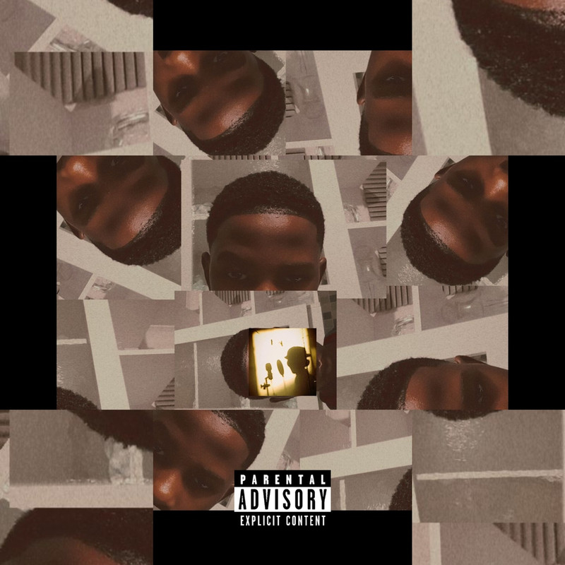 StealthMode.(Free$Tyle)封面