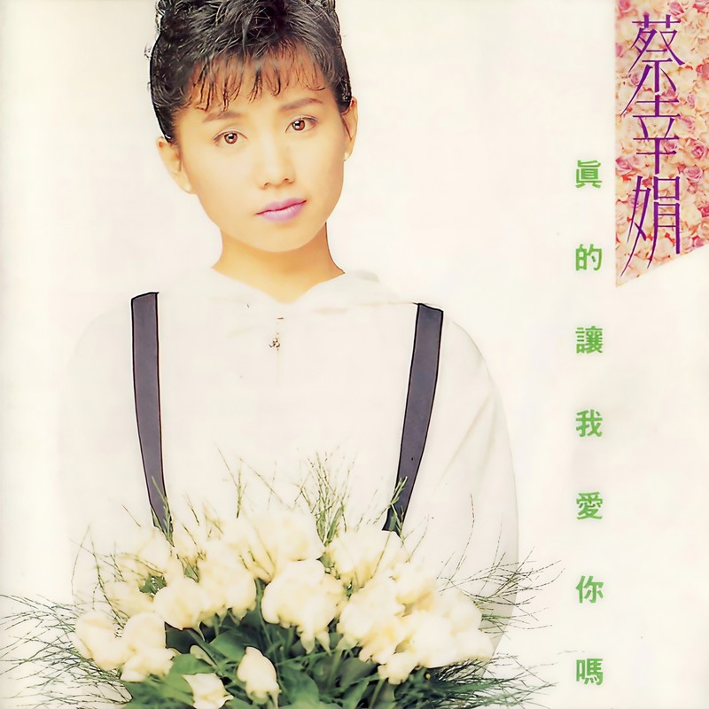 问情封面