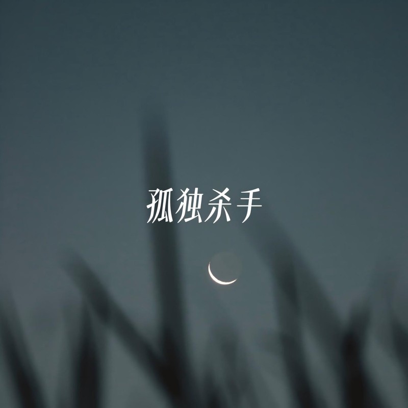 孤独杀手封面
