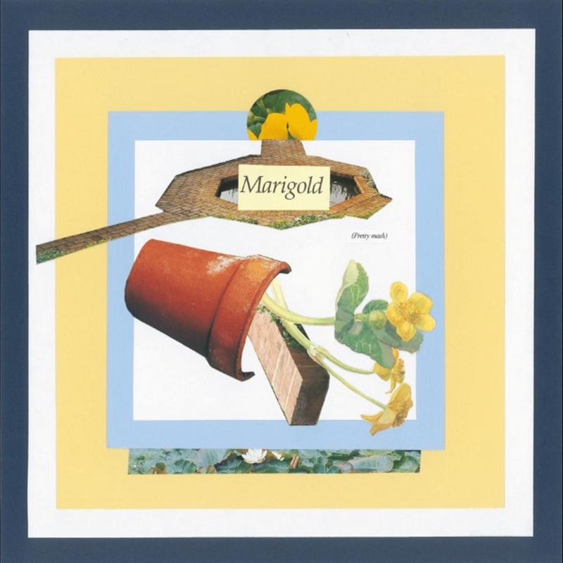 Marigold封面