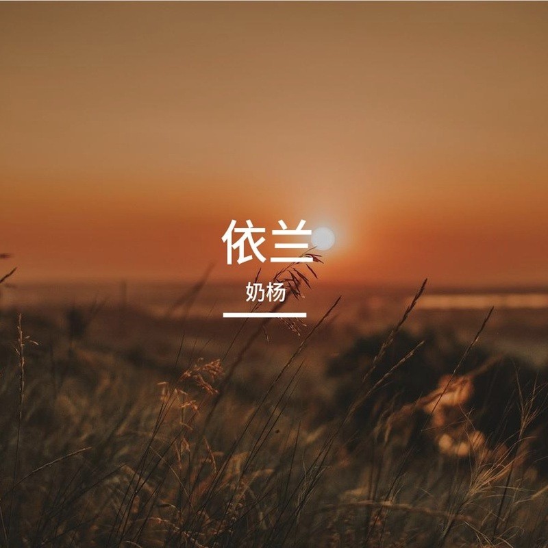 依兰封面