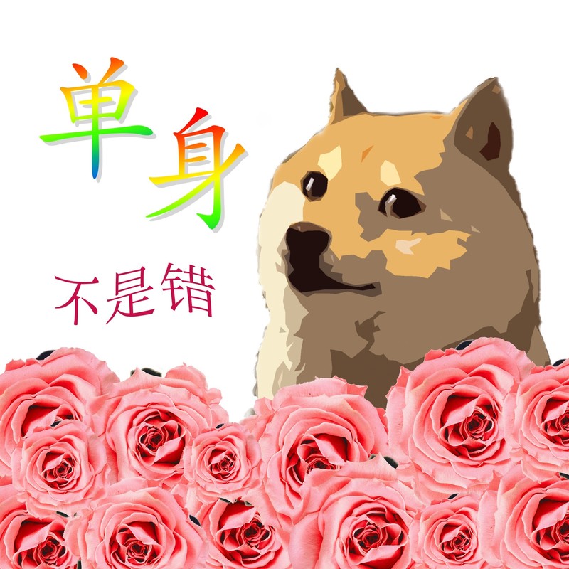 单身不是错封面
