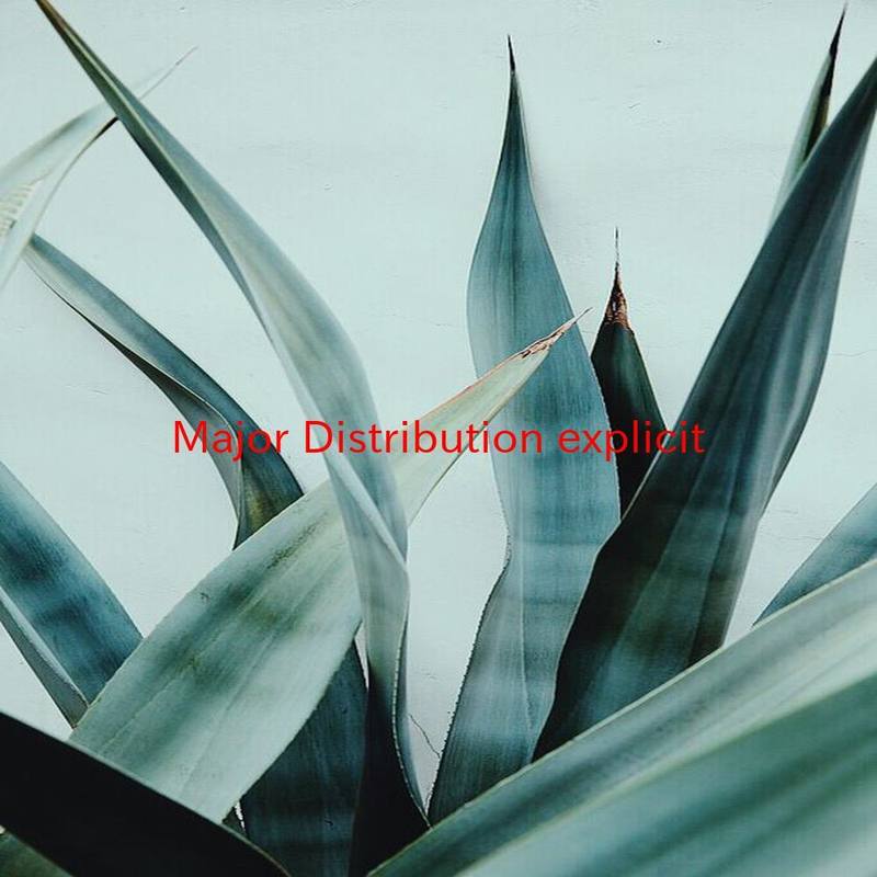 MajorDistribution封面